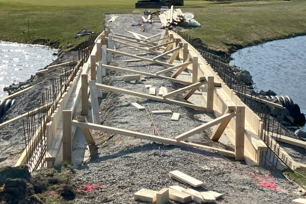 "Jannes bro" tar form