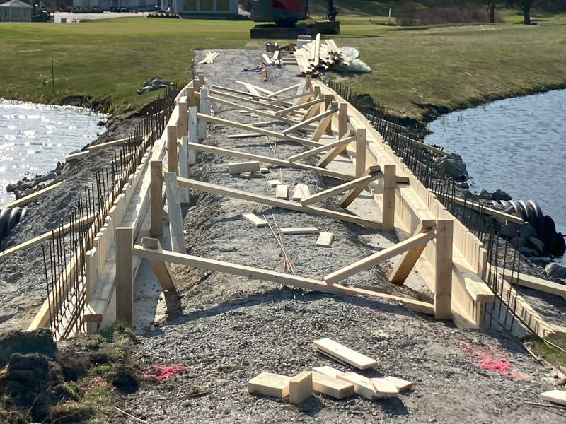 "Jannes bro" tar form